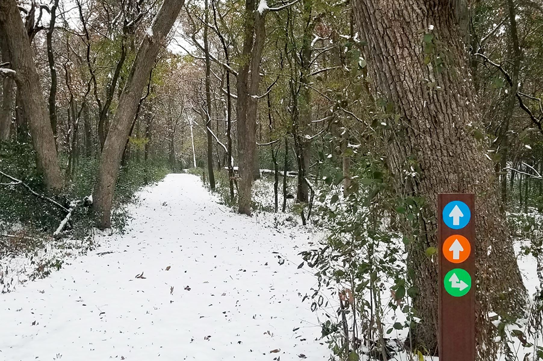 NagaWaukee Park Winter Trail